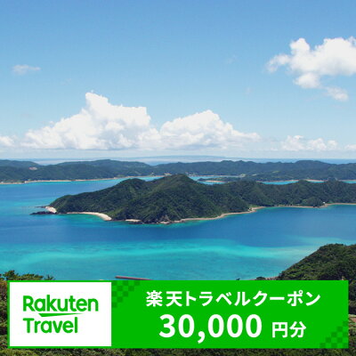 楽天ふるさと納税　【ふるさと納税】鹿児島県龍郷町の対象施設で使える楽天トラベルクーポン 寄付額100,000円