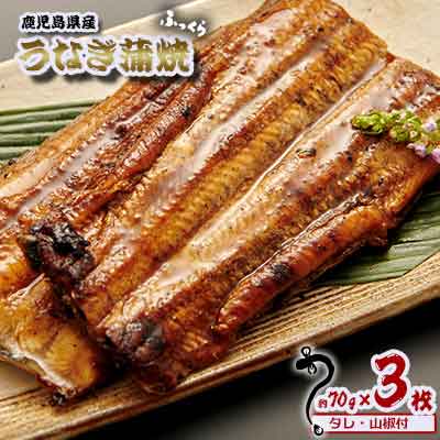 30位! 口コミ数「0件」評価「0」鹿児島県産　うなぎ蒲焼　約70g×3枚【タレ・山椒付】