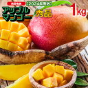 【ふるさと納税】南国奄美の秀品アップルマンゴー 1kg【20