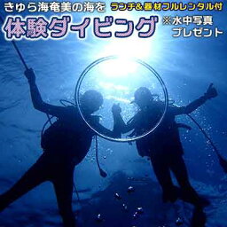 【ふるさと納税】きゅら海奄美の海を体験ダイビング(ランチ&器材フルレンタル付)