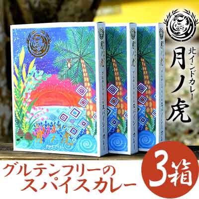 【ふるさと納税】北インドカレー月ノ虎 Made in 奄美大島（200g×3パック）