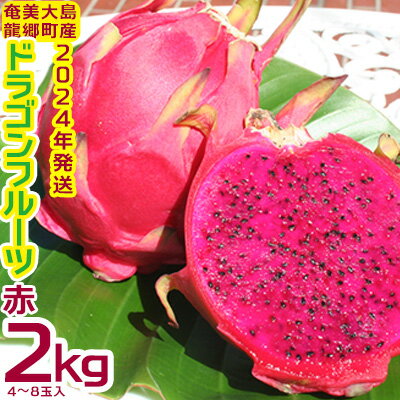 [2024年発送]奄美・龍郷町産 ドラゴンフルーツ赤2kg(4〜8玉)