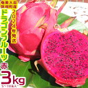 【ふるさと納税】【2024年発送】奄美・龍郷町産 ドラゴンフルーツ赤3kg（5～10玉） その1