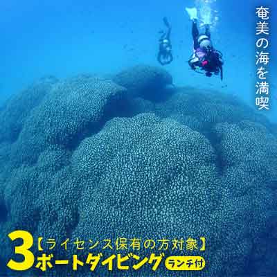 18位! 口コミ数「0件」評価「0」奄美の海を満喫　3ボートダイビング（ランチ付き）【ライセンス保有の方対象】