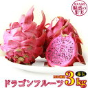 【ふるさと納税】奄美大島産 魅惑の果実・ドラゴンフルーツ(赤玉)3kg【2024年発送】 その1