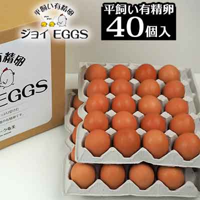 【ふるさと納税】奄美大島の平飼い有精卵 40個入り