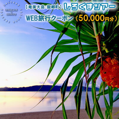 鹿児島の旅行券（宿泊券） 【ふるさと納税】【奄美大島：龍郷町】しろくまツアーで利用可能なWEB旅行クーポン（50000円分）