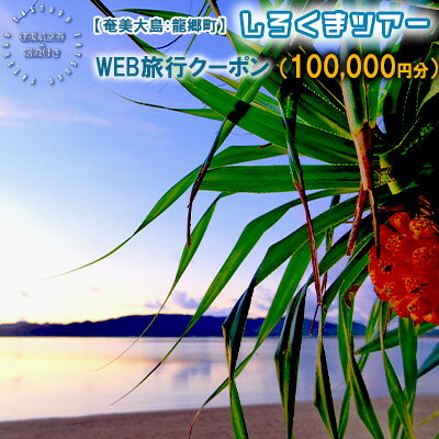 【ふるさと納税】【奄美大島：龍郷町】しろくまツアーで利用可能なWEB旅行クーポン（100000円分）