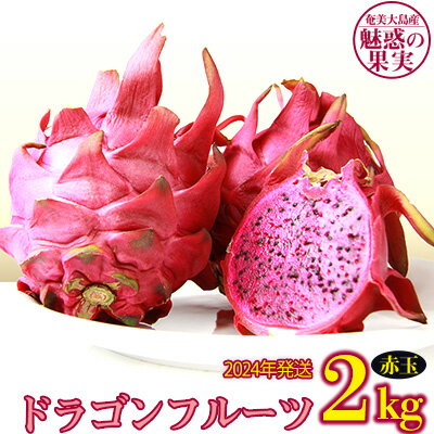 奄美大島産 魅惑の果実・ドラゴンフルーツ(赤玉)2kg【2024年発送】