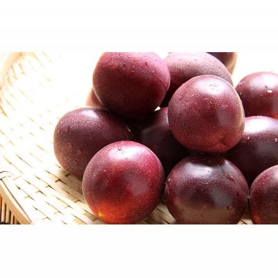 鹿児島県龍郷町の画像2