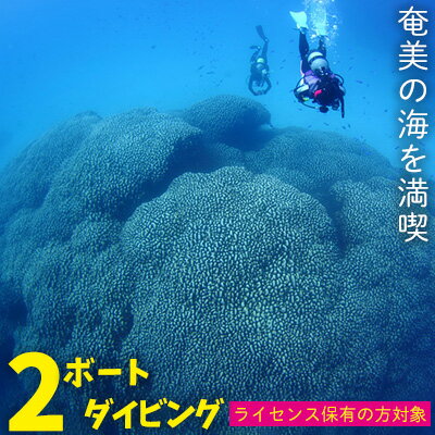 11位! 口コミ数「0件」評価「0」奄美の海を満喫　2ボートダイビング【ライセンス保有の方対象】