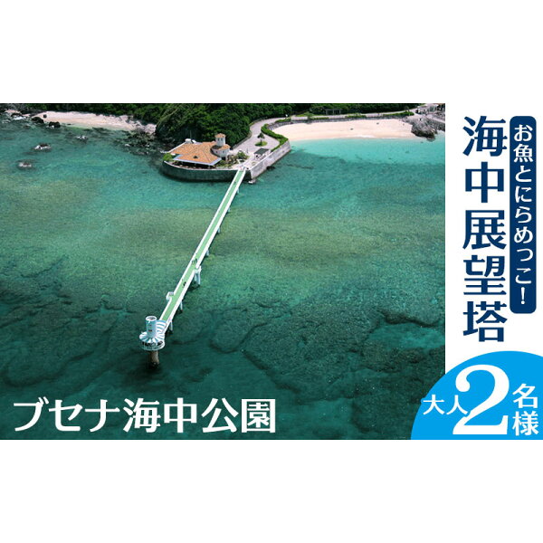 【ふるさと納税】お魚とにらめっこ！海中展望塔　大人2名様【ブセナ海中公園】