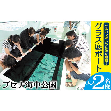 元気いっぱいのお魚を観察！グラス底ボート　大人2名様【ブセナ海中公園】