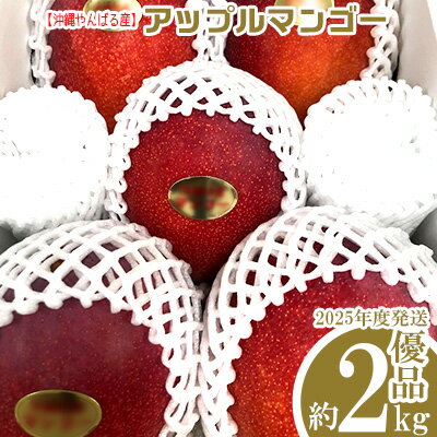 【ふるさと納税】2024年発送【沖縄やんばる産】2kg　優品アップルマンゴー（Ms mango farm）