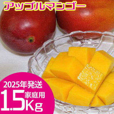 【ふるさと納税】【2024年発送】　ご家庭で美味しく！アップルマンゴー1.5Kg【つは農園】