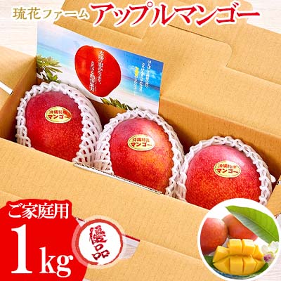 【2024年発送先行予約】沖縄県【琉花ファーム】アップルマンゴー優品1kg　（ご家庭用）