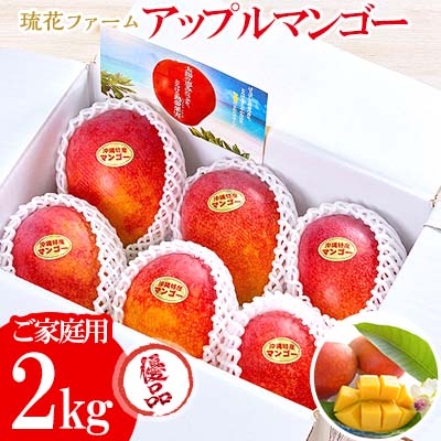 【2024年発送先行予約】沖縄県【琉花ファーム】アップルマンゴー優品2kg　（ご家庭用）