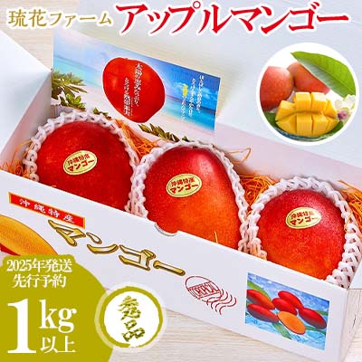 [2024年発送先行予約]沖縄県[琉花ファーム]アップルマンゴー秀品1kg (ご贈答用)