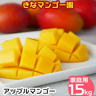 【ふるさと納税】2024年発送【きなマンゴー園】アップルマンゴー　家庭用1.5kg 先行予約