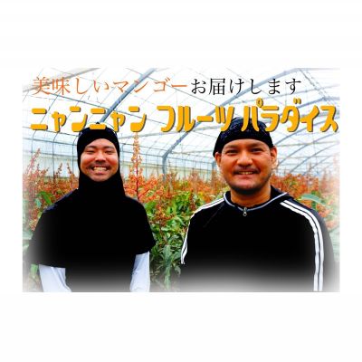 【ふるさと納税】2024年【ニャンニャンフルーツパラダイス】名護市からお届けします！家庭用マンゴー　2kg 先行予約【数量限定】