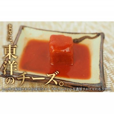 【ふるさと納税】紅濱の唐芙蓉（豆腐よう）業務用　36個入り