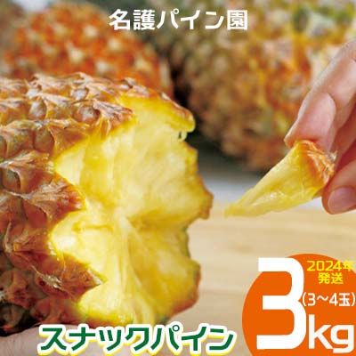 2024年発送【名護パイン園】　スナックパイン3kg（3～4玉） 先行予約