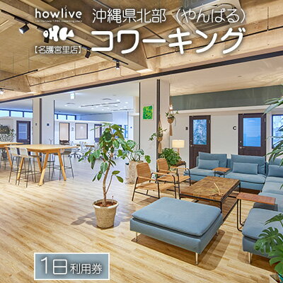 沖縄県北部(やんばる)コワーキング1日利用券[howlive名護宮里店]