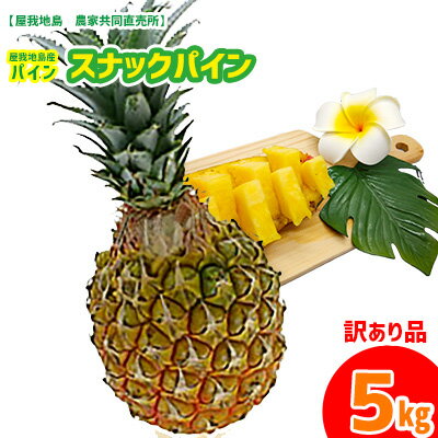 楽天ふるさと納税　【ふるさと納税】2024年【屋我地島　農家共同直売所】屋我地島産パイン　スナックパイン　約5kg《訳あり品》先行予約　沖縄　国産　パインアップル　ボゴール