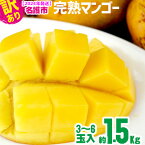 【ふるさと納税】【訳あり品】名護市完熟マンゴー　約1.5kg（3～6玉入）【2024年発送】