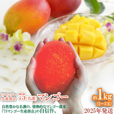 [75マンゴー生産部会] 75(名護)マンゴー 1kg