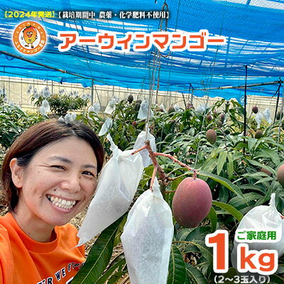 【ふるさと納税】アーウィンマンゴー【栽培期間中農薬・化学肥料不使用】1kg（2～3玉入り）ご家庭用【2024年発送】