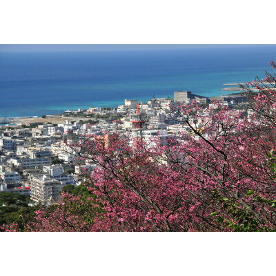【ふるさと納税】沖縄県名護市の対象施設で使える...の紹介画像3