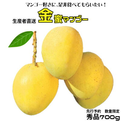 [2024年 先行予約 数量限定]マンゴー好きに食べてもらいたい!金蜜マンゴー 秀品700g 生産者直送