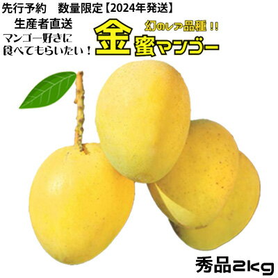 【2024年 先行予約 数量限定】マンゴー好きに食べてもらいたい！金蜜マンゴー 秀品 2kg 生産者直送