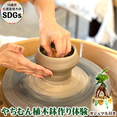 【ふるさと納税】やちむん植木鉢作り体験 ガジュマル付き【SDGs】 やちむん 焼き物 陶芸 ガジュマル 植木鉢 体験 伝統 工芸 植物 鑑賞用 観葉植物 インテリア 初心者 ふるさと納税 おきなわ 沖…