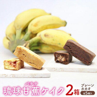 【ふるさと納税】琉球甘蕉ケイク2箱(プレーン・カカオ)各5個入 沖縄 おきなわ おかし お菓子 バナナ アップルバナナ ばなな 伝統 特産品 ふるさと納税 送料...