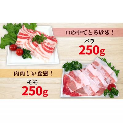 沖縄県名護市の画像2