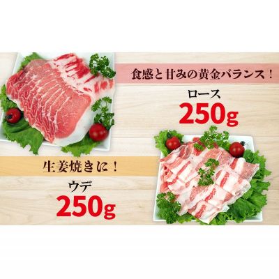 沖縄県名護市の画像3
