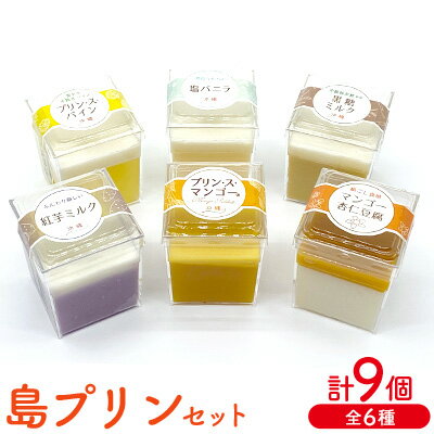 島プリンセット 1箱(9個セット)全6種 おきぽた プリン 杏仁 豆腐 マンゴー スイーツ 専門店 マンゴープリン 黒糖 パイン 濃厚 新食感 人気 おすすめ 沖縄 お土産 プレゼント 贈り物 ギフト お取り寄せ