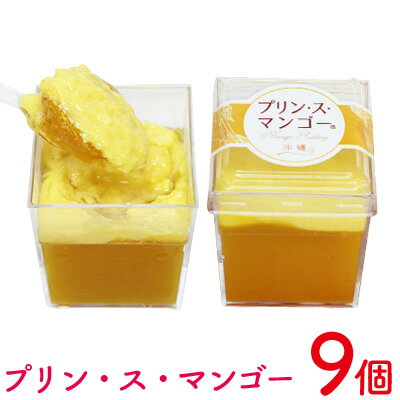 プリン・ス・マンゴー 1箱(9個セット) おきぽた プリン マンゴー スイーツ 専門店 贅沢プリン トロピカルプリン マンゴープリン 濃厚 新食感 絶品 ロングランセラー 人気 おすすめ 沖縄 お土産 プレゼント 贈り物 ギフト お取り寄せ