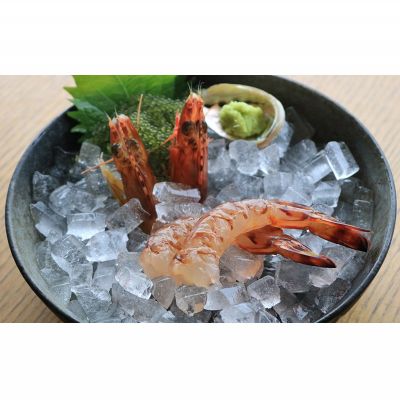 【ふるさと納税】活き〆急速冷凍車えび【Lサイズ】　500g×1パック お刺身 塩焼き 天ぷら フライ 急速冷凍 エビ 鮮度 おせち 養殖 瞬間冷凍 甲殻類 海産物 うまみ くるまえび 海老 海鮮 送料無料