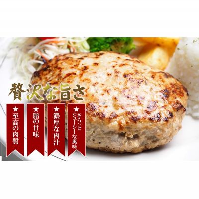 【ふるさと納税】絶品！沖縄県産やんばる島豚あぐー豚100％ 肉汁たっぷりハンバーグ　（150g×10個）　ギフト　セット　冷凍　ファミリー　おかず　惣菜　小分け　豚肉　豚　アグー　黒豚　ヘルシー　贈り物　ふるさと納税　沖縄　名護　簡単調理