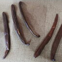 【ふるさと納税】名護市で育てたバニラビーンズ(3本)【沖縄華如拉珈琲】