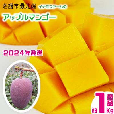 【2024年発送】名護市最北端イナミファームの　優品　アップルマンゴー 1Kg