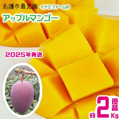 【ふるさと納税】【2024年発送】名護市最北端イナミファームの　優品　アップルマンゴー 2Kg