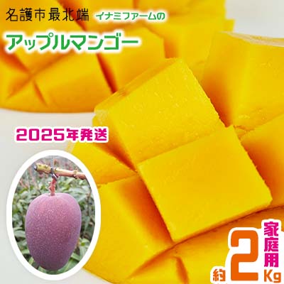 [2024年発送]名護市最北端イナミファームの家庭で楽しむアップルマンゴー 2Kg