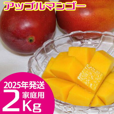 【ふるさと納税】【2024年発送】　ご家庭で美味しく！アップルマンゴー2Kg【つは農園】