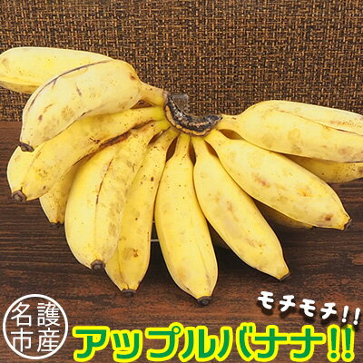 【ふるさと納税】2024年度分先行予約！　モチモチ！！　名護市産アップルバナナ！！のサムネイル