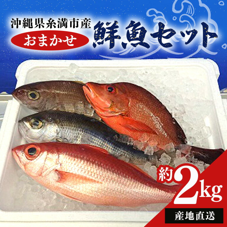 [産地直送][漁師まちの鮮魚店厳選]おまかせ鮮魚セット(約2kg)