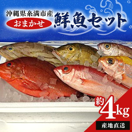 【産地直送】【漁師まちの鮮魚店厳選】おまかせ鮮魚セット(約4kg)